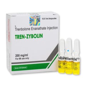 Tren - Zybolin